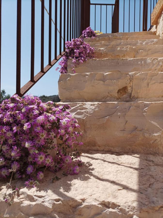 Villetta Cipolliane Santa Maria di Leuca Kültér fotó