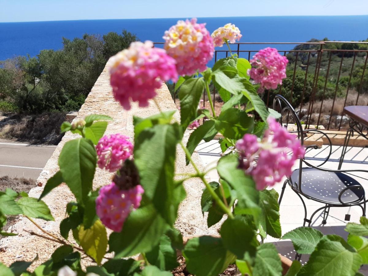 Villetta Cipolliane Santa Maria di Leuca Kültér fotó
